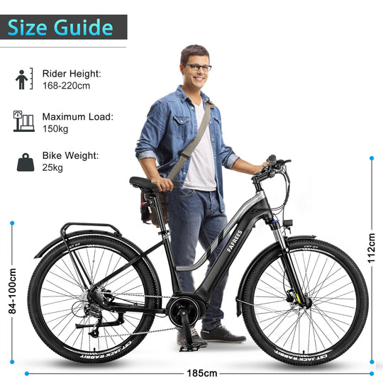 [EU]FAFREES FM8 City Electric Bike