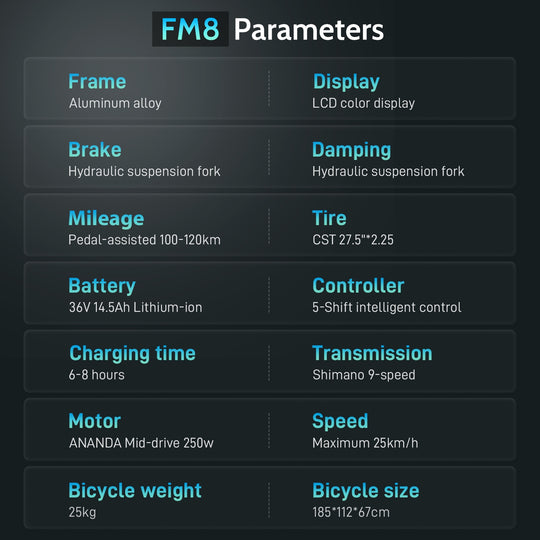 [EU]FAFREES FM8 City Electric Bike