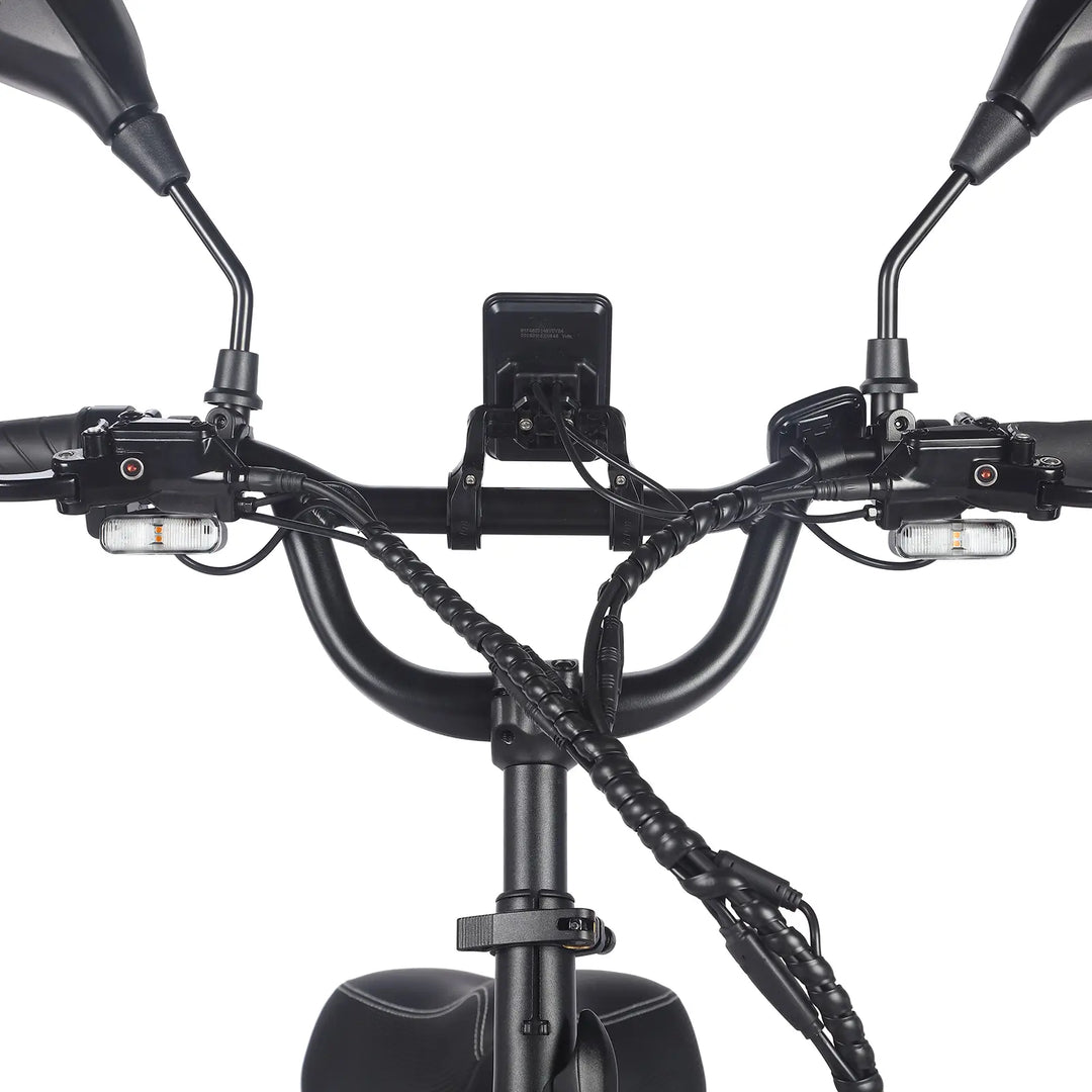 Fafrees F20 Mate 21Ah (EU) Electric Tricycle