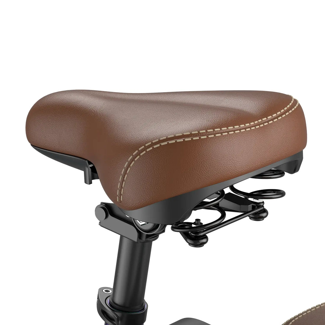 Fafrees F20+ Pro (EU) Electric Bike