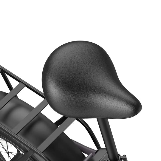 Fafrees FF20 Polar 24Ah (EU) E-Bike