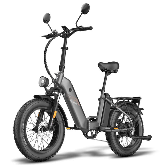 Fafrees FF20 Polar 24Ah (EU) E-Bike