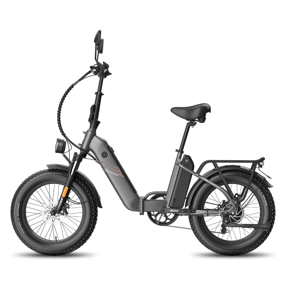 Fafrees FF20 Polar 24Ah (EU) E-Bike