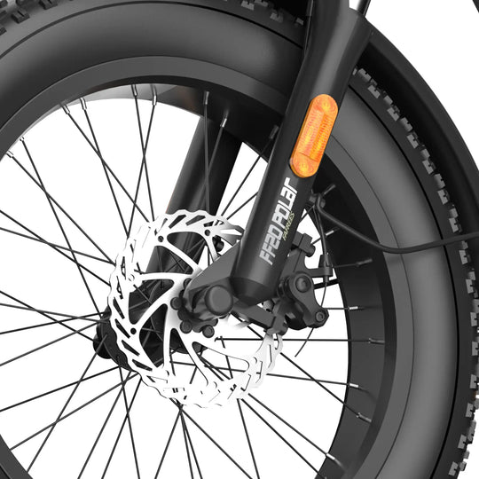 Fafrees FF20 Polar 24Ah (EU) E-Bike