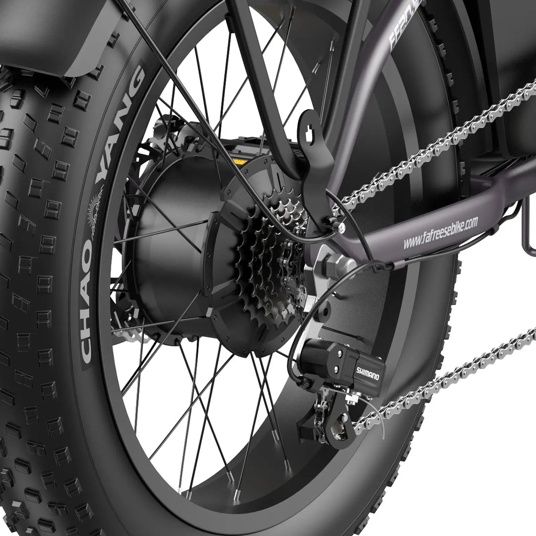 Fafrees FF20 Polar 26.8Ah (EU) E-Bike