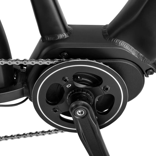 Fafrees FM8 (EU)  Electric Bike