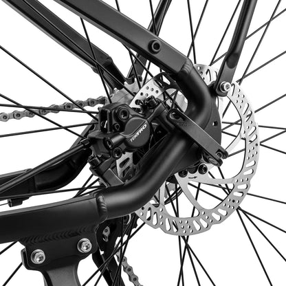 Fafrees FM8 (EU) Electric Bike