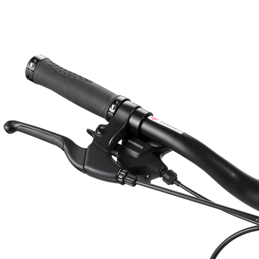 Fafrees FM9 (EU)  Electric Bike