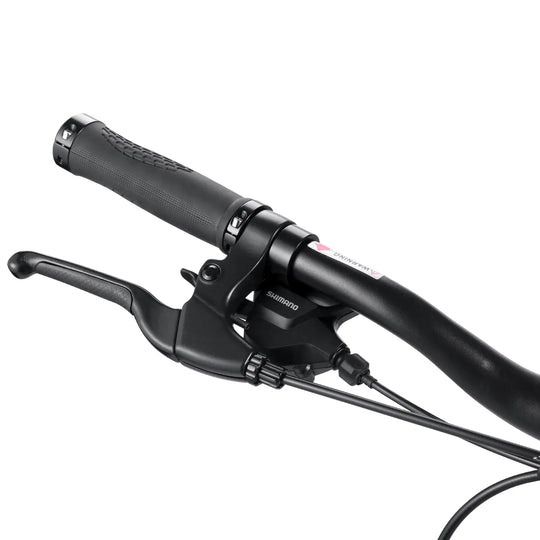 Fafrees FM9 (EU)  Electric Bike