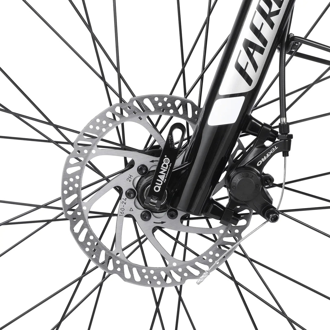 Fafrees FM9 (EU)  Electric Bike