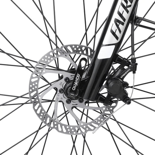 Fafrees FM9 (EU)  Electric Bike