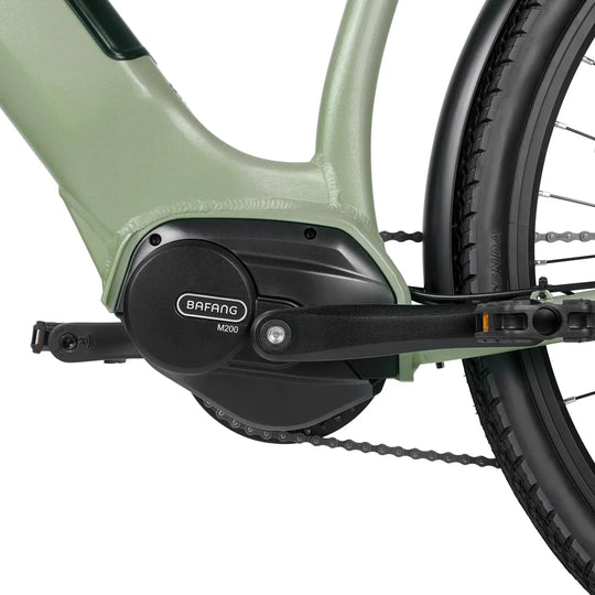 Fafrees FM9 (EU)  Electric Bike