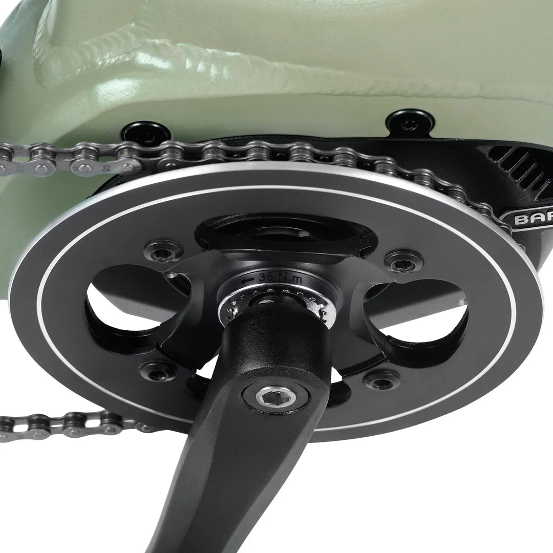 Fafrees FM9 (EU)  Electric Bike